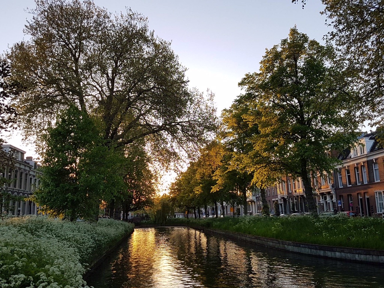 tarieven trainingen particulieren